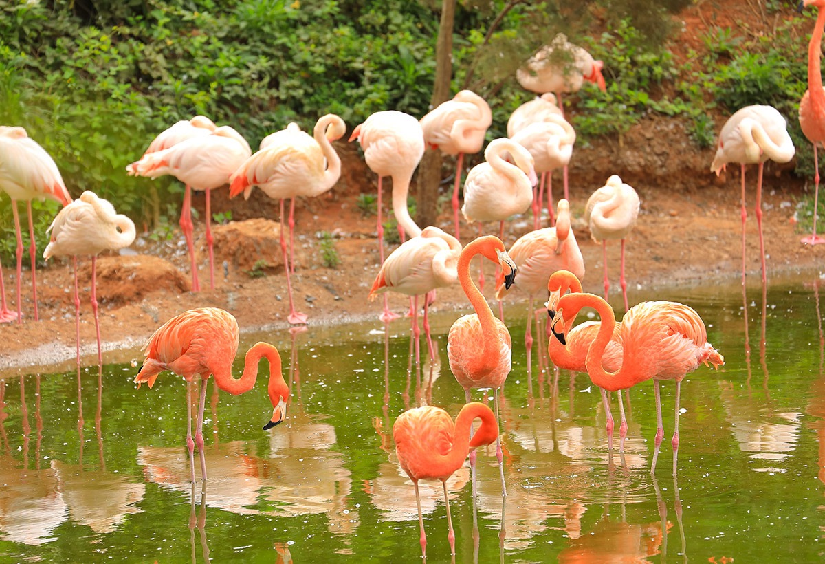 Jardin Zoologique de Rabat